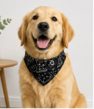 1pc Cashew Floral Graphic Dog and Cat Bandanas - Adjustable