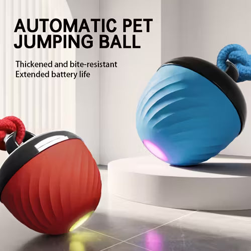 1 Interactive Intelligent Dog Ball Toy