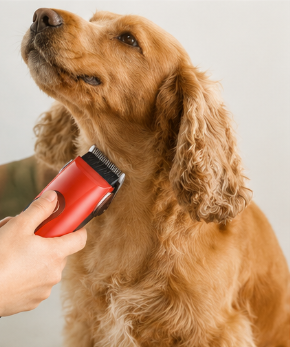 1 Professional Dog Hair Clipper/Rechargeable Pet