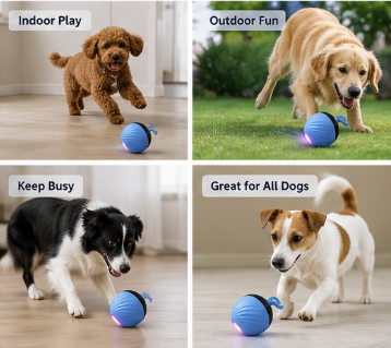 1 Interactive Intelligent Dog Ball Toy